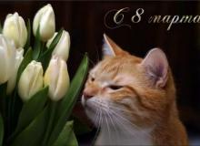 8 марта